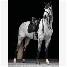 LeMieux Crystal Suede Close Contact dressuuronderlegger